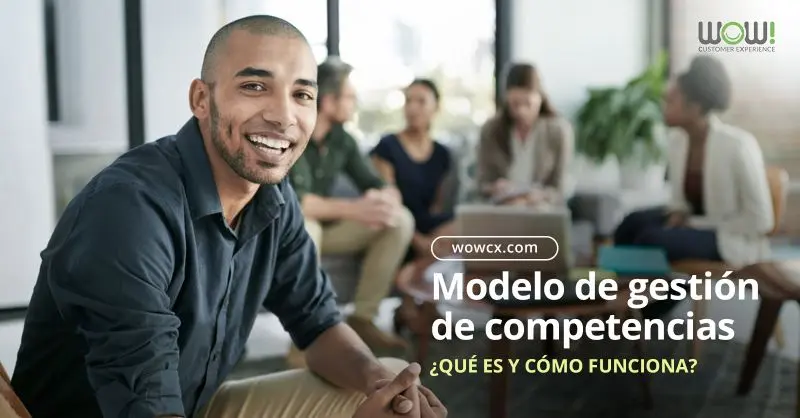 Modelo de competencia