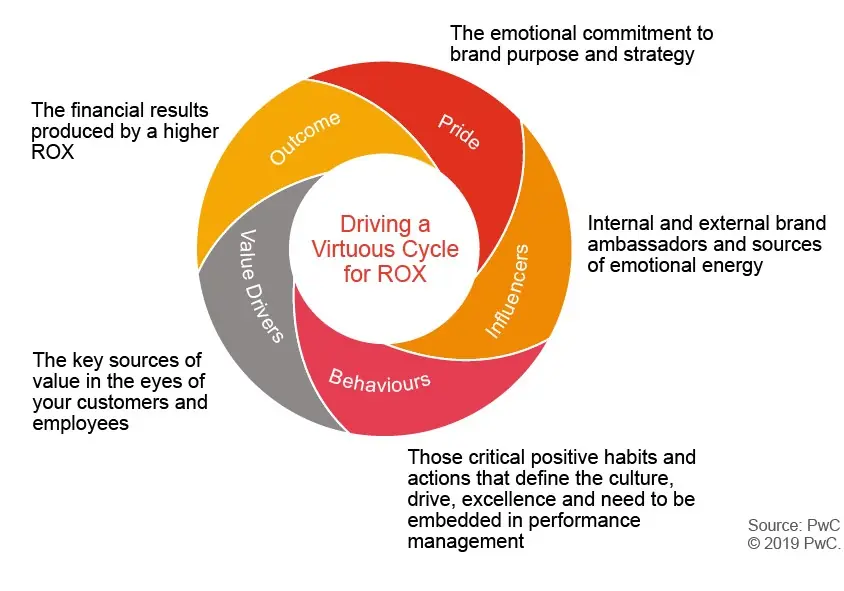 infografia-rox